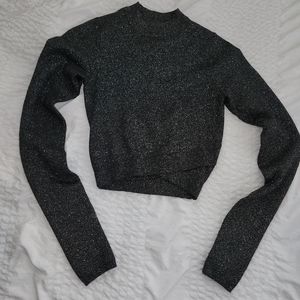 Express Metallic long sleeve crop top